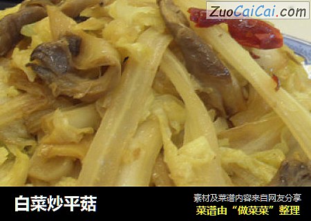 白菜炒平菇