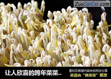 让人欣喜的跨年菜菜-----自制绿豆芽