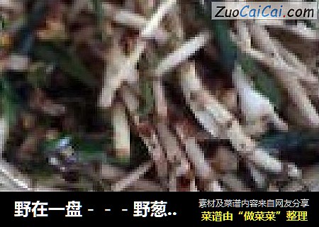 野在一盘－－－野葱拌折耳根