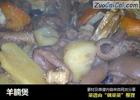 羊腩煲