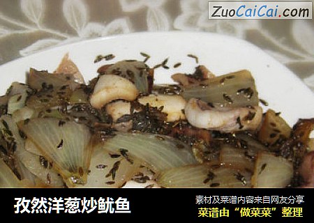 孜然洋葱炒鱿鱼