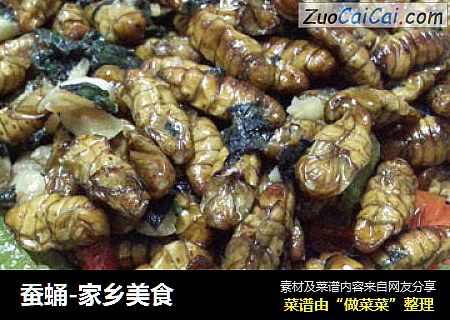 蚕蛹-家乡美食