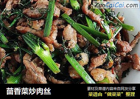 茴香菜炒肉丝