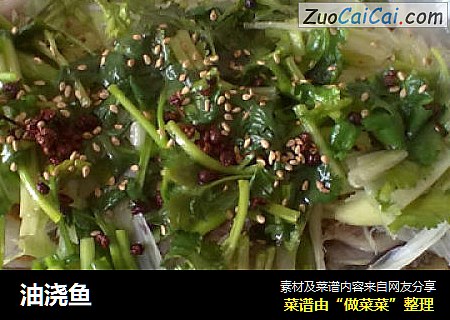 油浇鱼