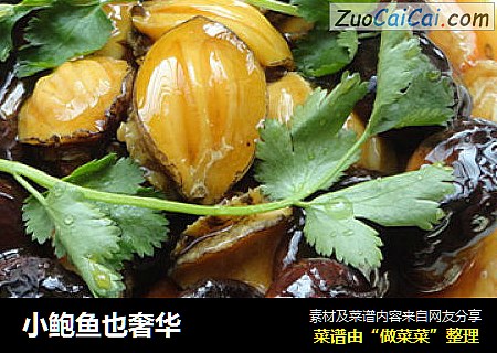 小鲍鱼也奢华
