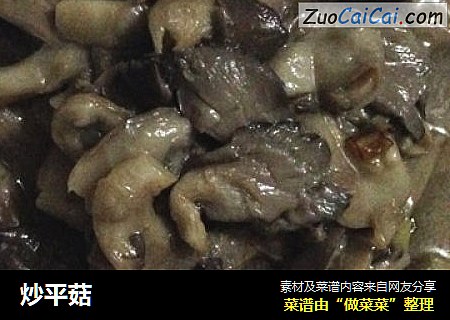 炒平菇