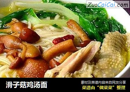滑子菇鸡汤面