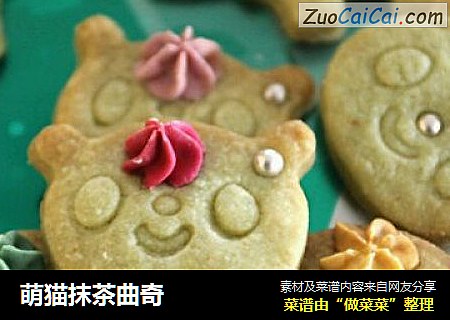 萌猫抹茶曲奇