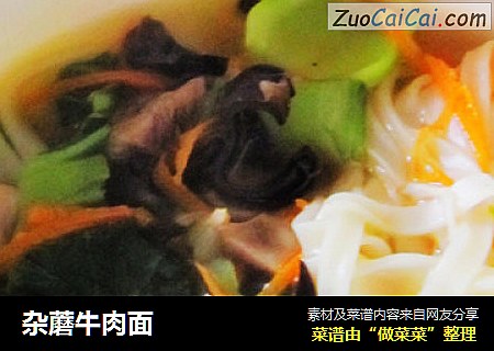 杂蘑牛肉面