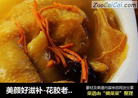 美颜好滋补-花胶老鸡汤