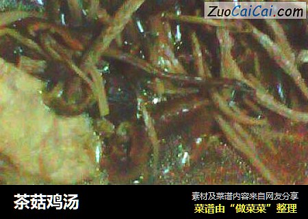 茶菇鸡汤