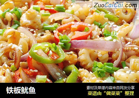 铁板鱿鱼