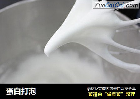 蛋白打泡