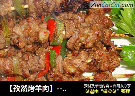 【孜然烤羊肉】-----自己动手的大漠风味