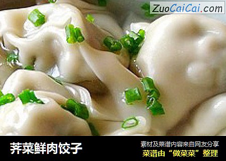 荠菜鲜肉饺子