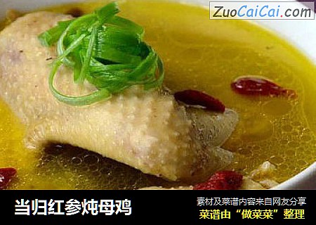 当归红参炖母鸡