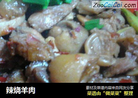 辣烧羊肉