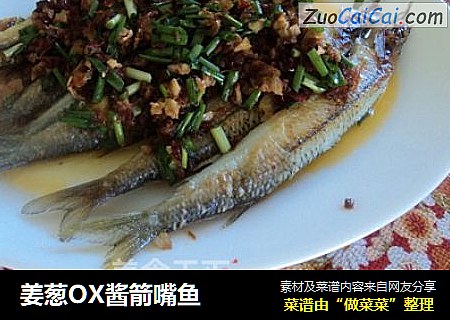 姜葱OX酱箭嘴鱼