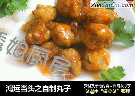鸿运当头之自制丸子