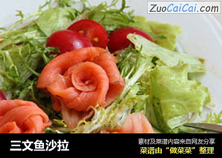 三文鱼沙拉