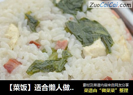 【菜饭】适合懒人做的饭