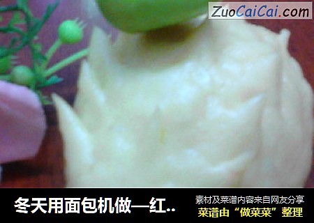 冬天用面包机做—红薯刺猬包