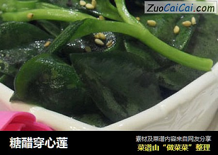 糖醋穿心莲