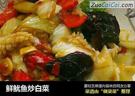 鲜鱿鱼炒白菜
