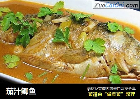 茄汁鲫鱼
