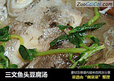 三文鱼头豆腐汤