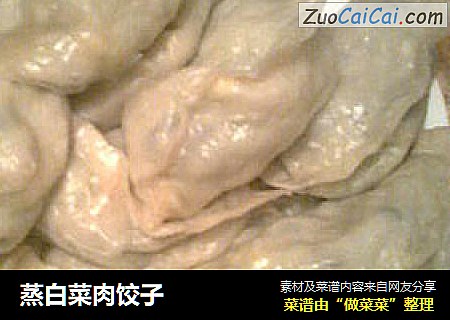 蒸白菜肉饺子