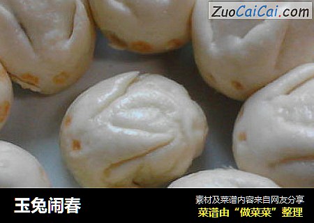 玉兔闹春