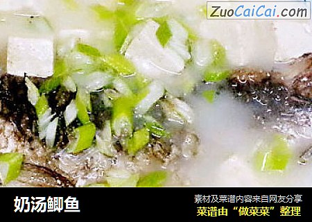 奶汤鲫鱼