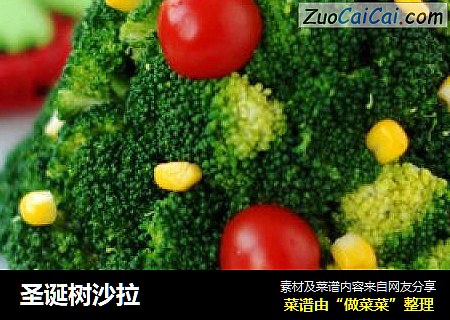 圣诞树沙拉
