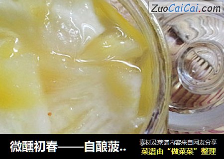 微醺初春——自酿菠萝酒