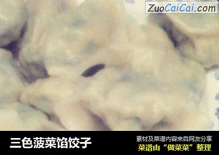 三色菠菜馅饺子