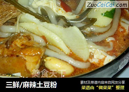 三鲜/麻辣土豆粉