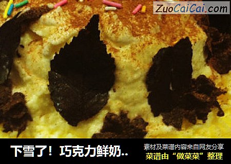 下雪了！巧克力鲜奶双层蛋糕 附巧克力树叶做法