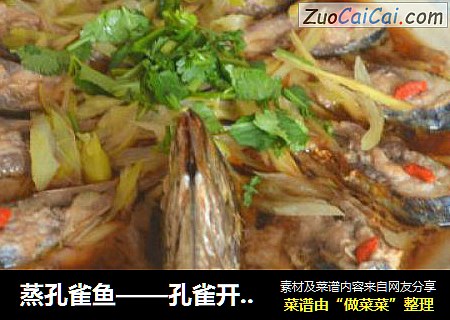 蒸孔雀鱼——孔雀开屏喽