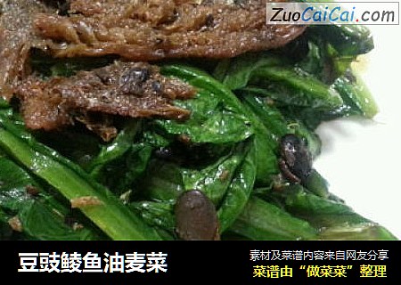 豆豉鲮鱼油麦菜