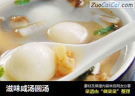 滋味咸汤圆汤