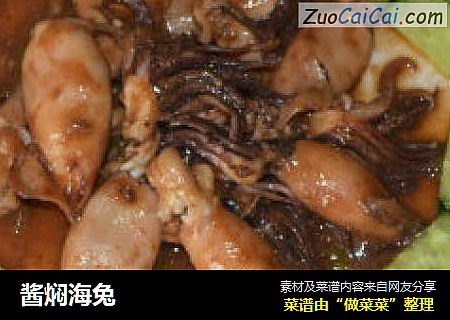 酱焖海兔