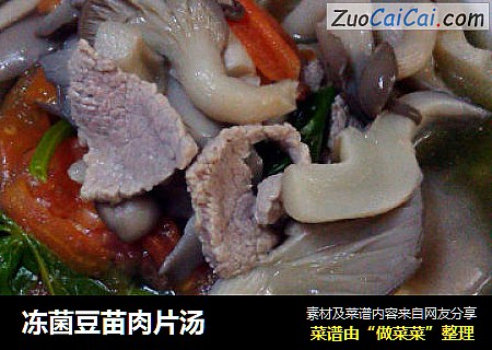 冻菌豆苗肉片汤