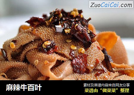麻辣牛百叶