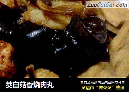 茭白菇香烧肉丸