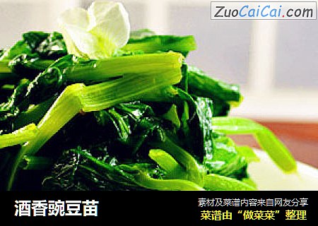 酒香豌豆苗
