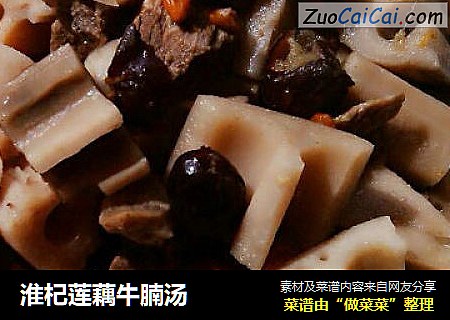 淮杞莲藕牛腩汤
