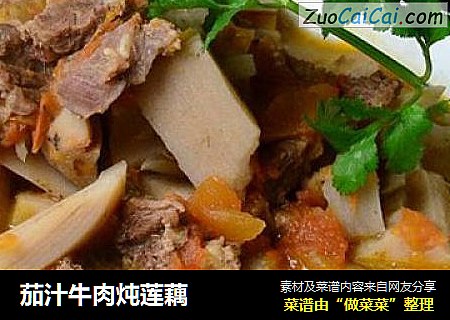 茄汁牛肉炖莲藕