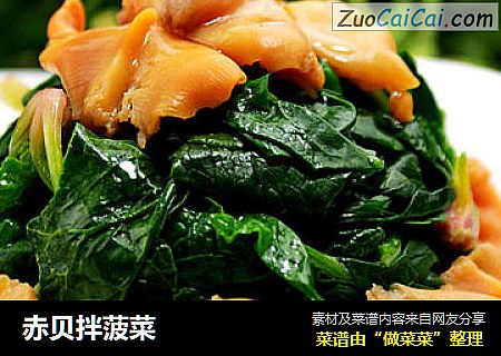 赤贝拌菠菜