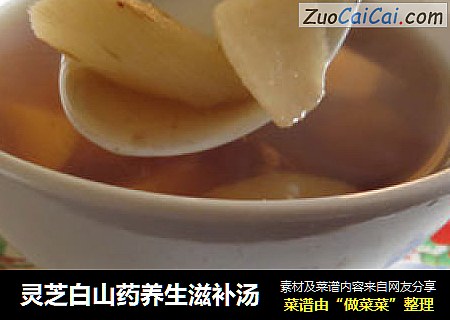 灵芝白山药养生滋补汤